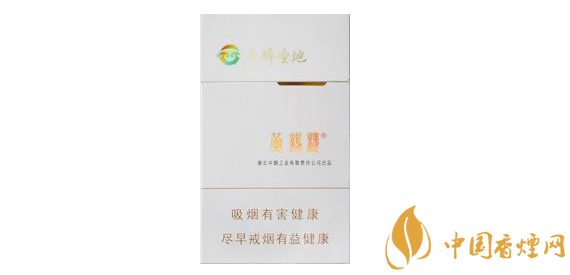 揭秘进口香烟烟丝与纸张的独特融合，品质生活的新选择